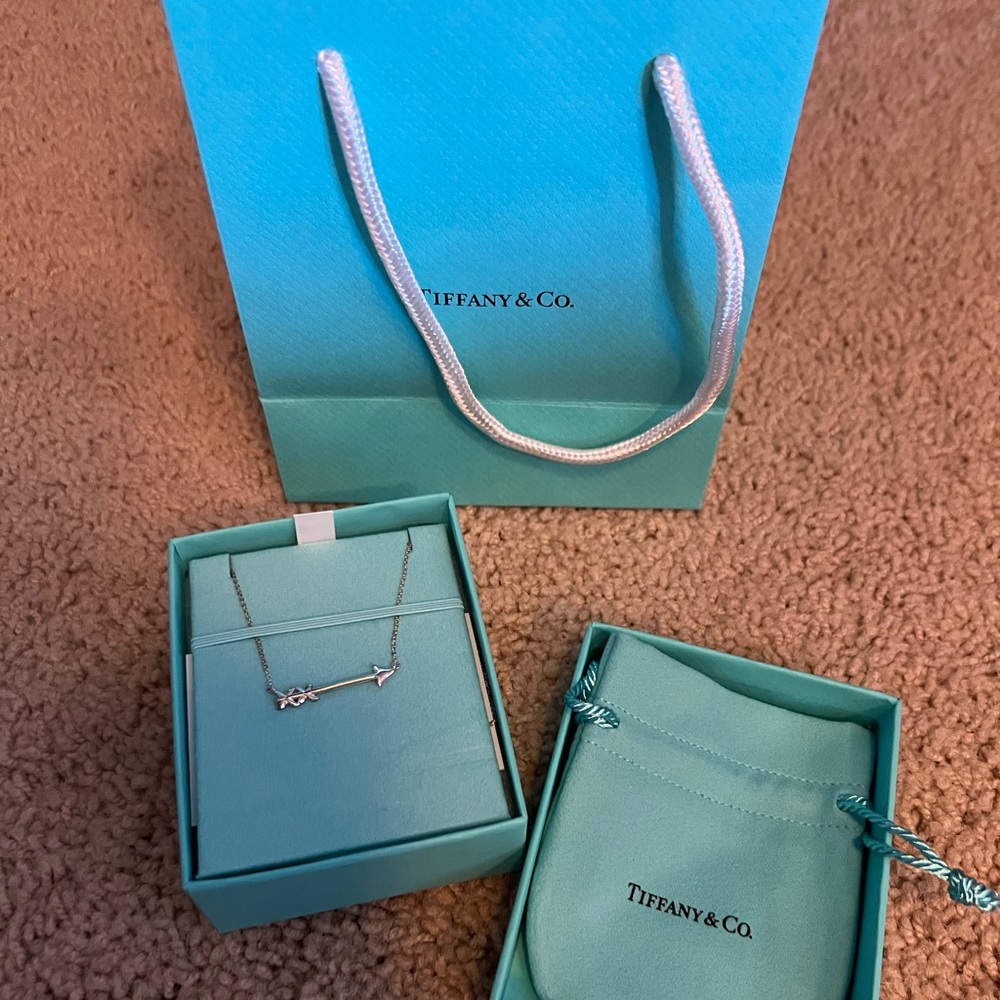 Tiffany Necklace